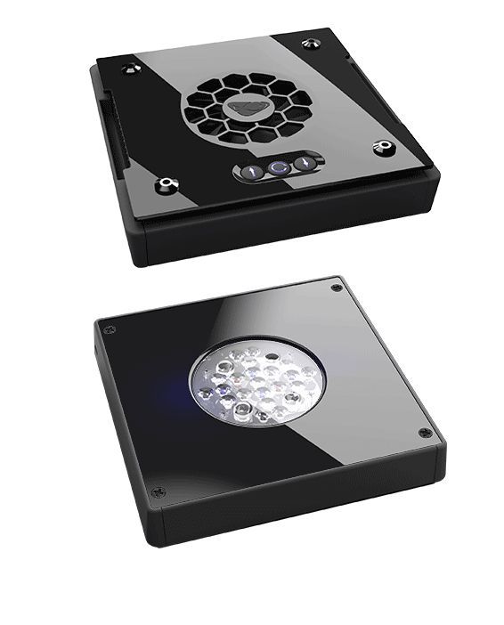 Radion XR15 Freshwater