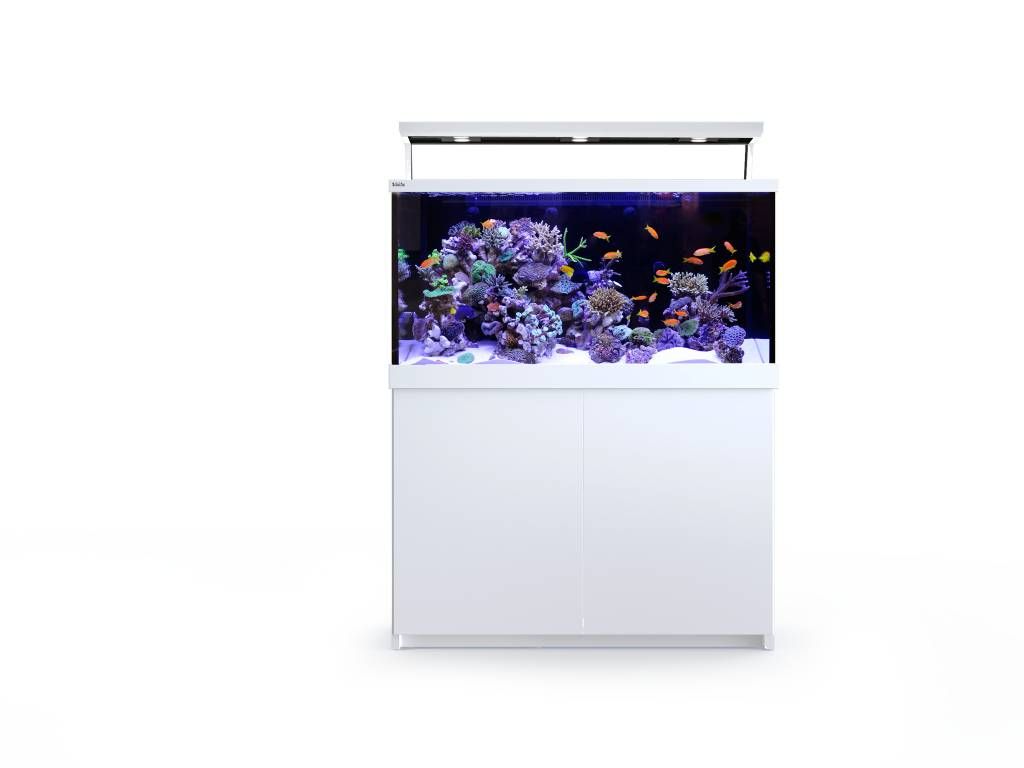 Max S 500(132g) LED Complete Reef System G2, Color: White