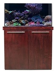 Crystaline Tank Kit - 36"
