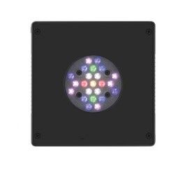 Radion XR15 PRO GEN 4