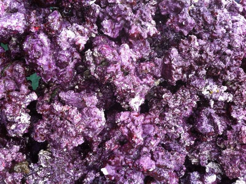 Live Rock - Mixed Sizes - (price/lb.)