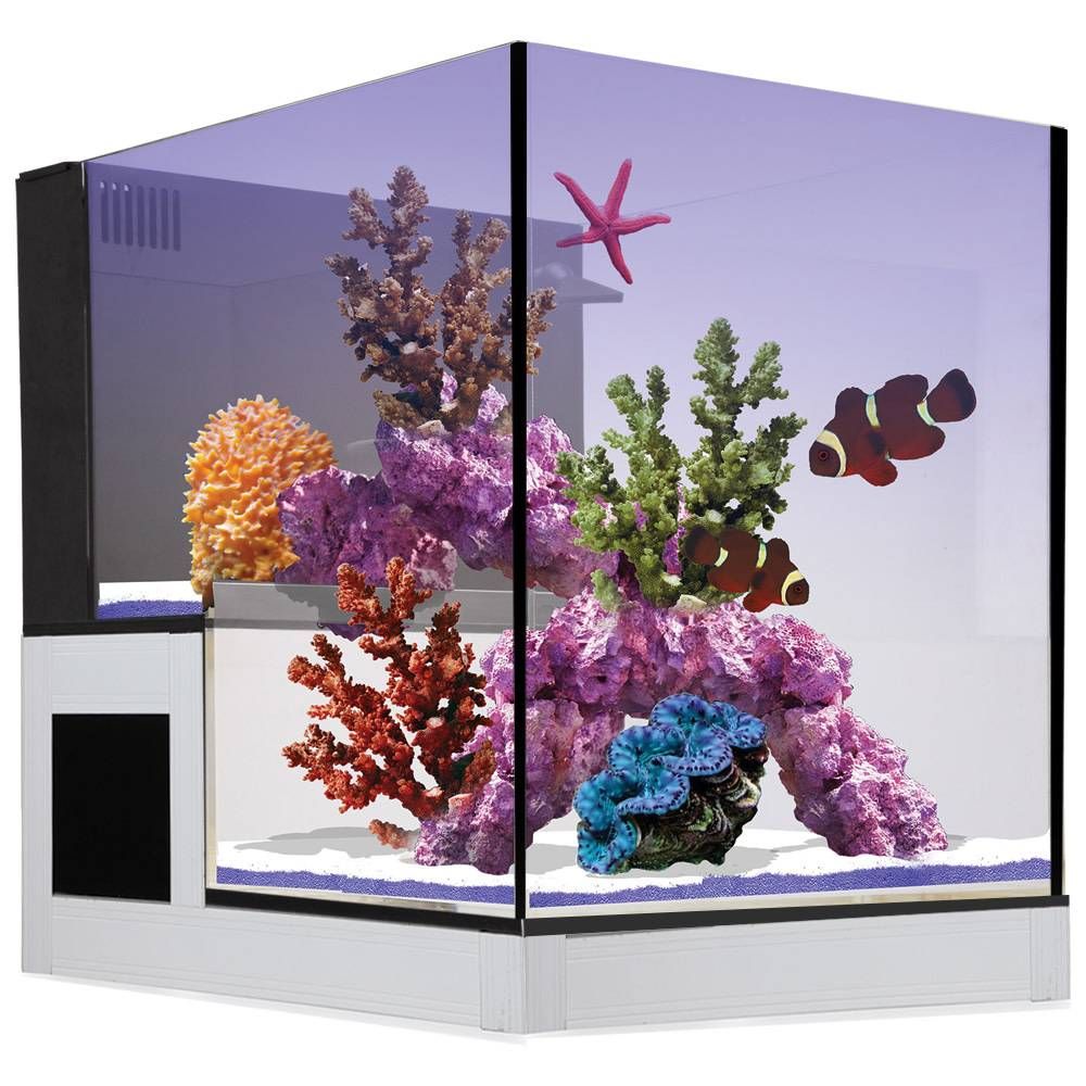 Nuvo Concept - ABYSS Peninsula Glass 20g Reef Aquarium