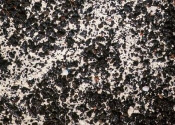 Arag-Alive Indo Pacific 20lb