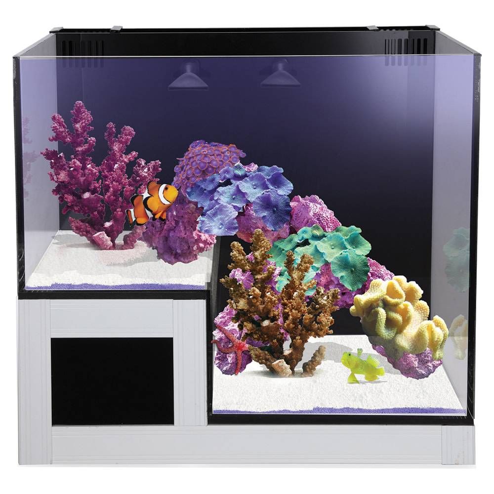 Nuvo Concept - ABYSS Panorama Glass 20g Reef Aquarium
