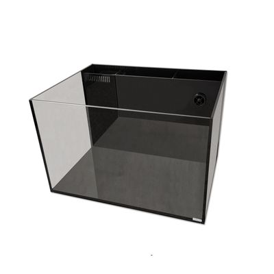 AIO - Aquarium - 31g Lagoon