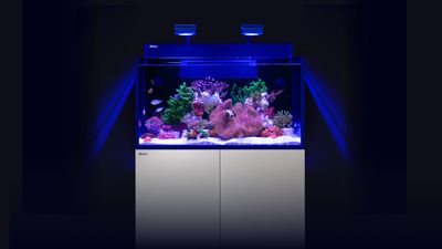 REEFER G2+ MAX NANO