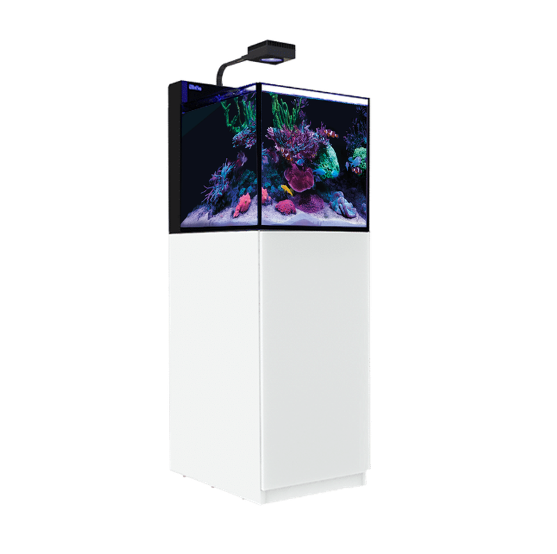 Max Nano G2 XL w/ Cabinet