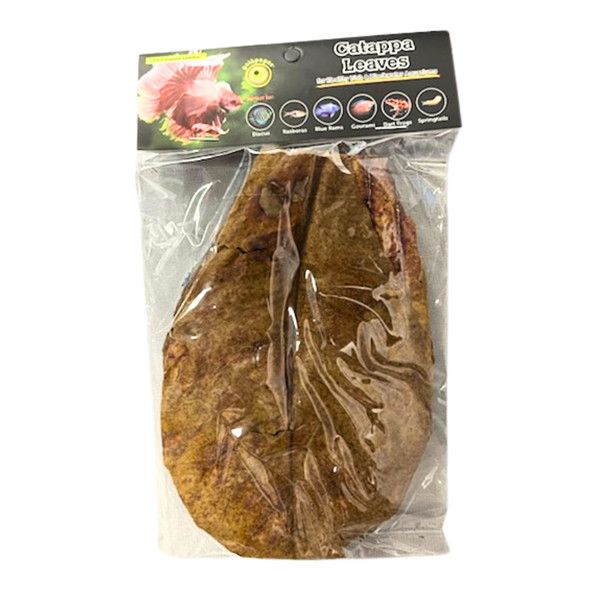 Galapagos Catappa Leaves - 10pk