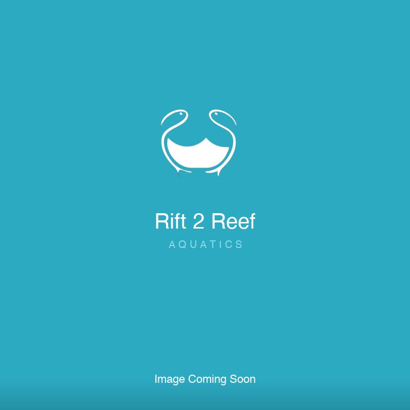 Red Sea Cabinet Internal Parts Reefer XL200