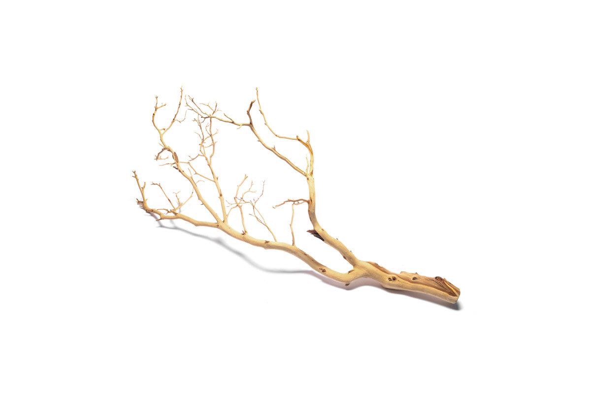 Manzanita Driftwood - Extra Small (6-9") Sandblasted