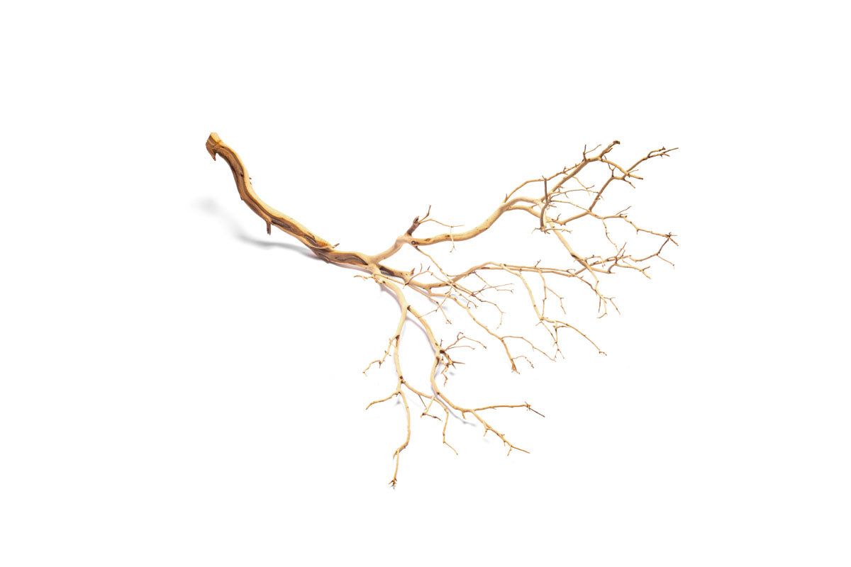 Manzanita Driftwood - XL (36"+) Sandblasted