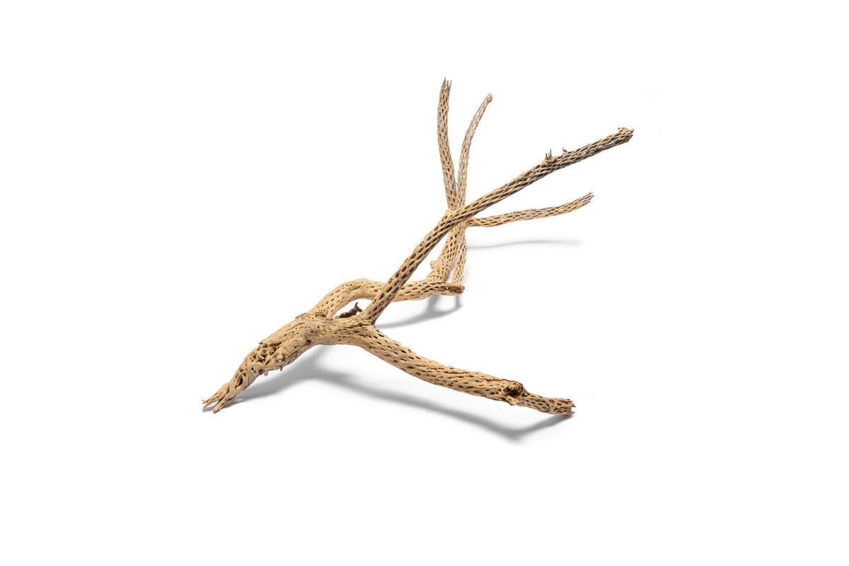 Cholla Driftwood Tree - Small (10-17")