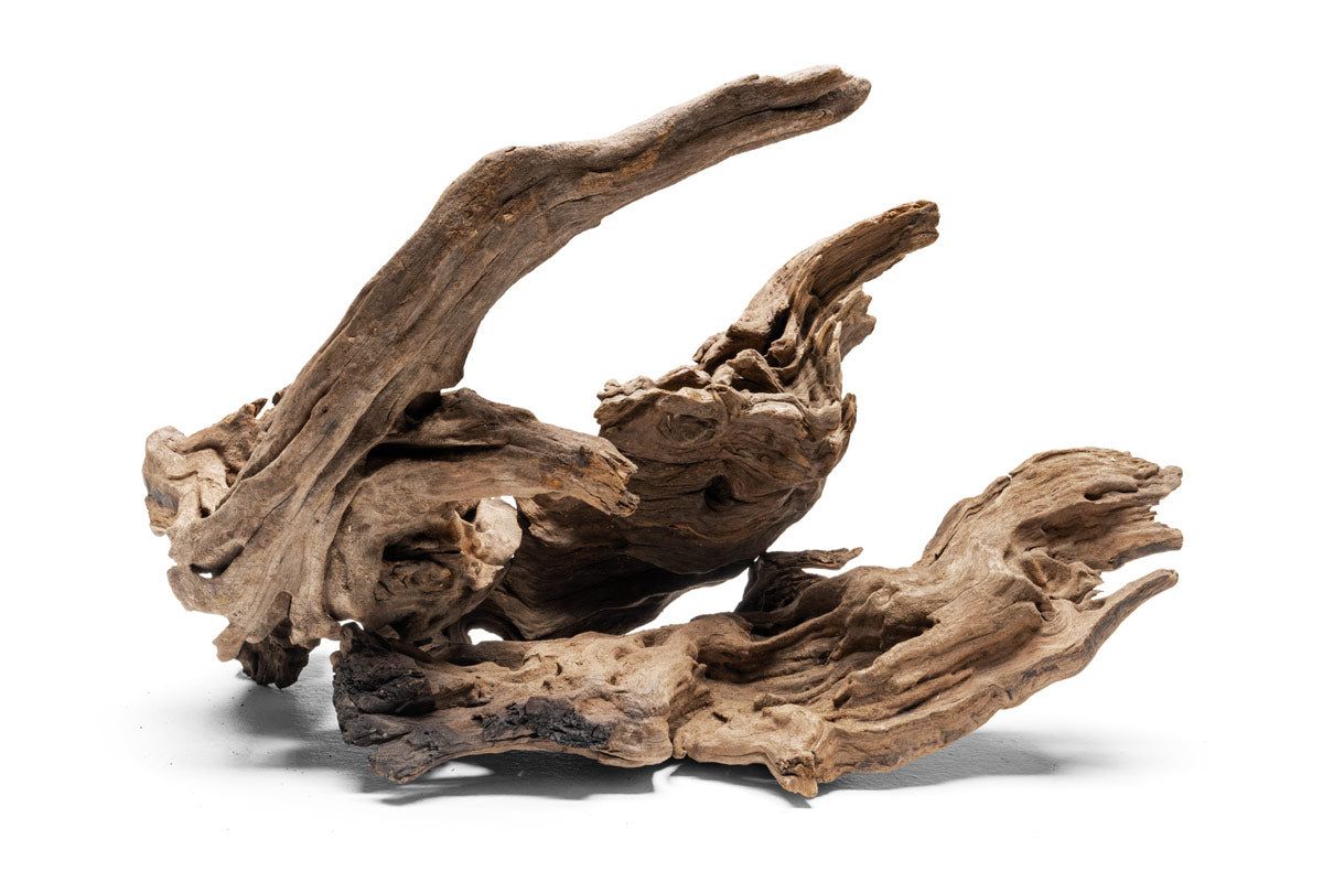 Pacific Driftwood Stump - 22.5LB