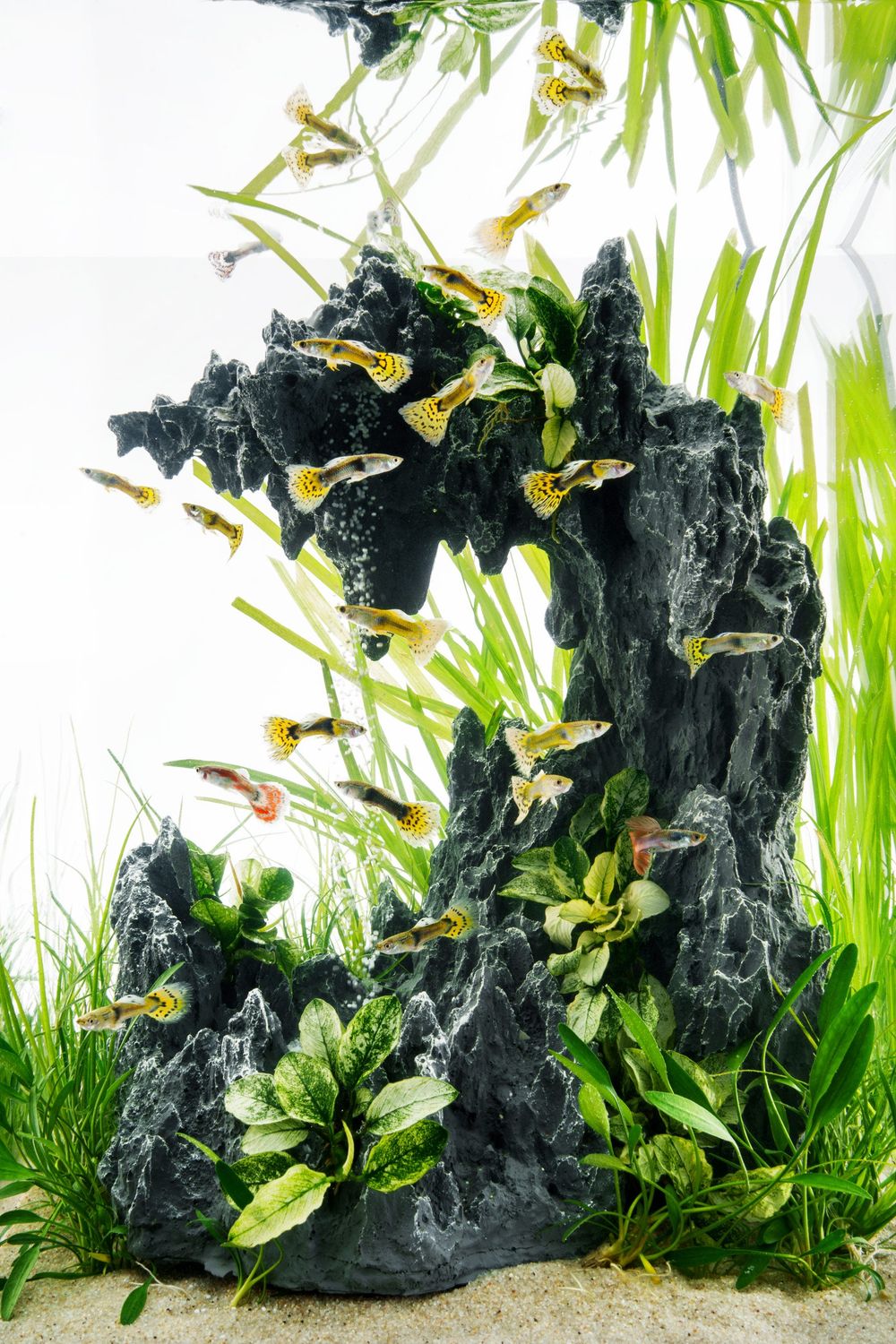 Waterfall Tank Kit - Replacement Sand