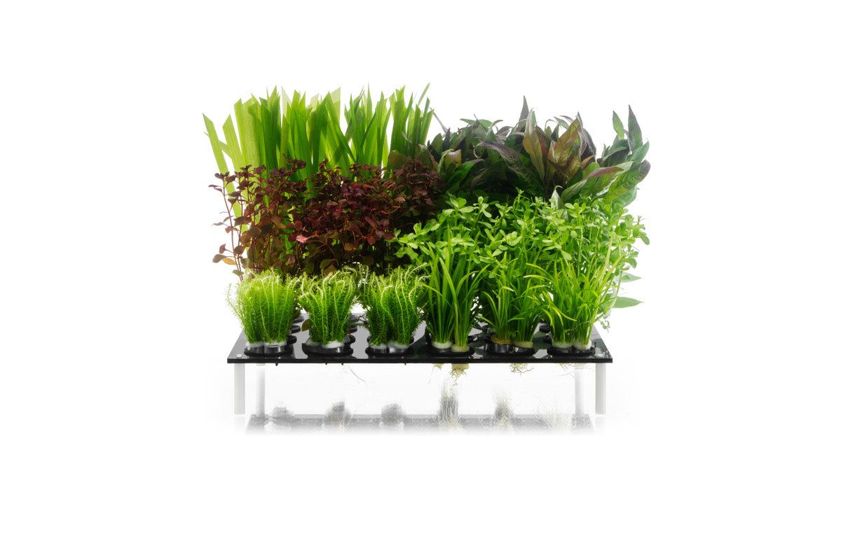 UNS PHS Lead Bunch Holder Insert (24pc)