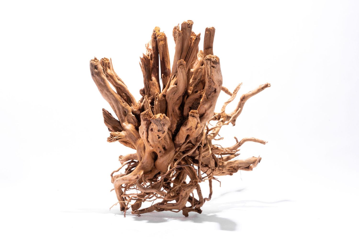 Spider Wood Show Piece Medium