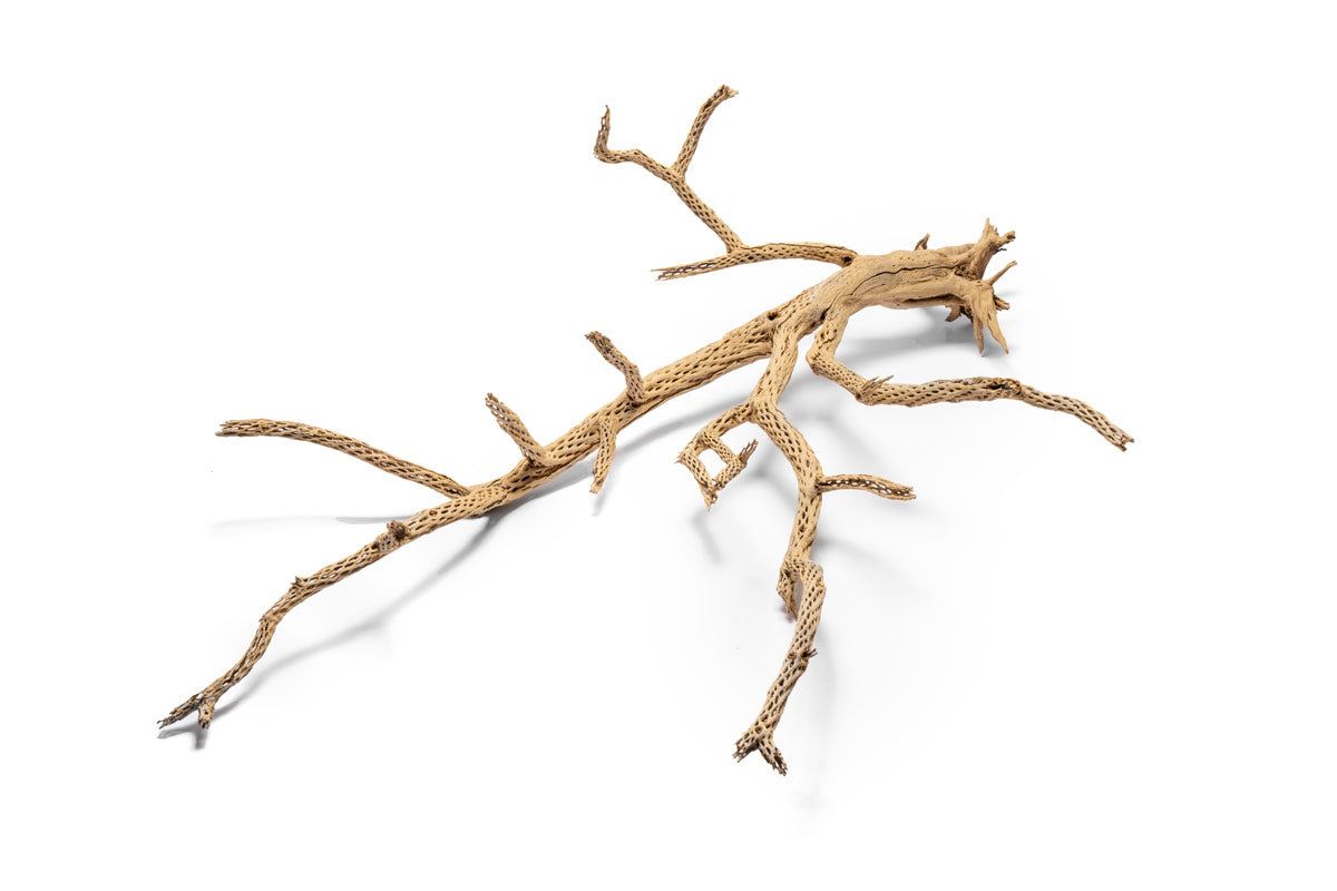 Cholla Driftwood Tree - 2XL (45"+)