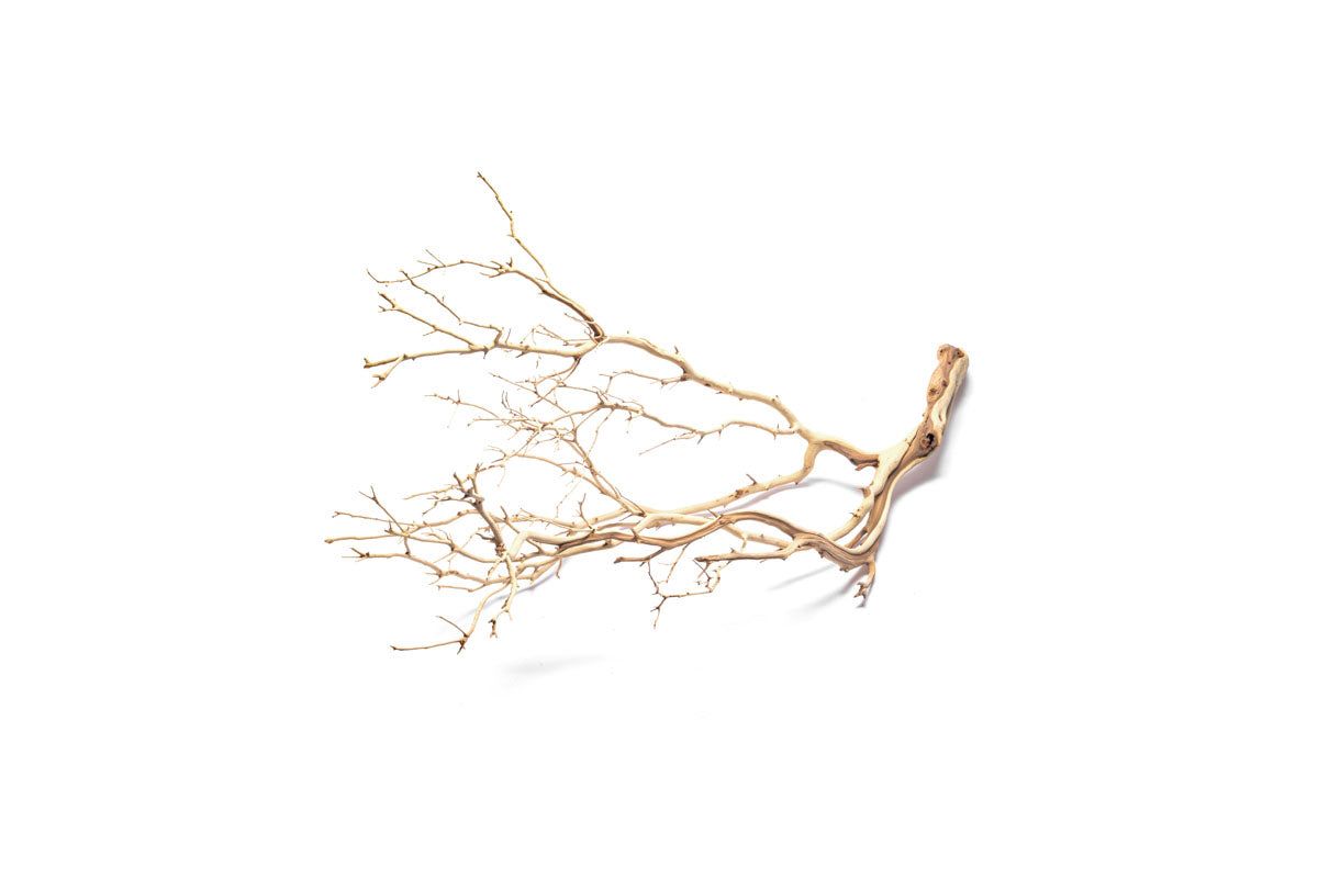 Manzanita Driftwood - Large (20-36") Sandblasted