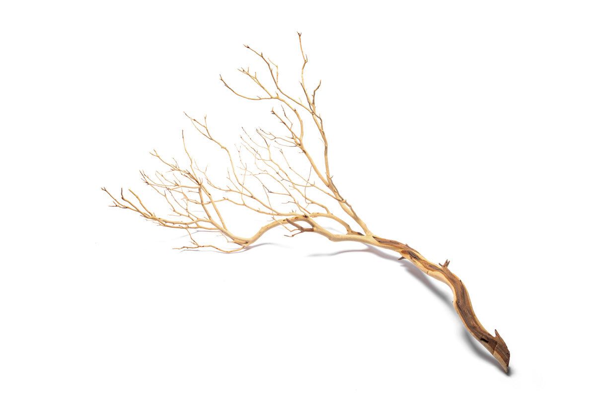 Manzanita Driftwood - Small (10-16") Sandblasted