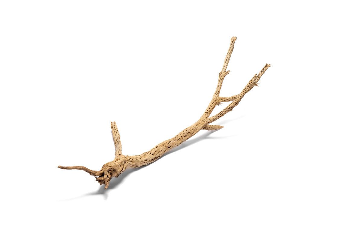 Cholla Driftwood Tree - Medium (18-24")