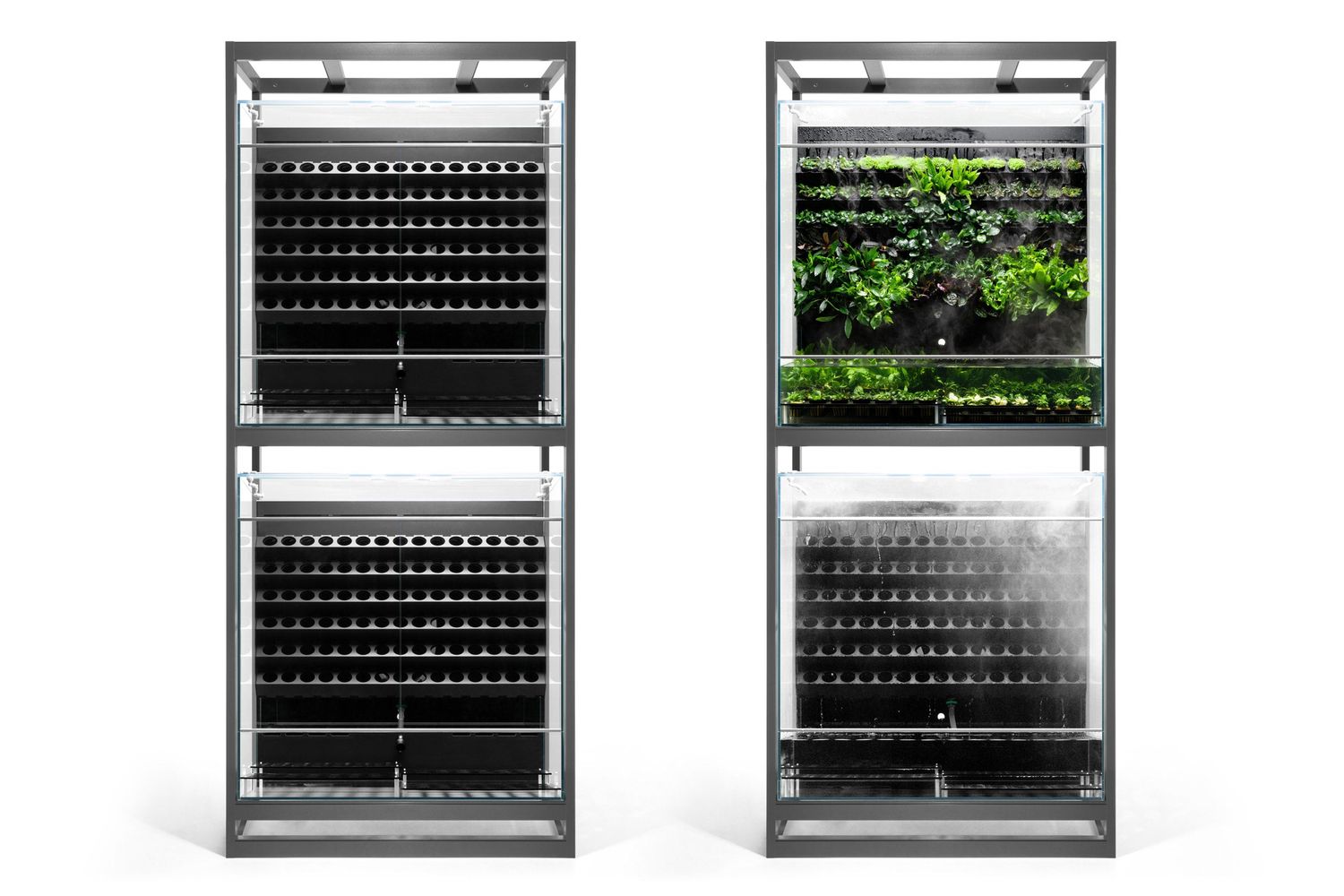 Foresta Plant Holding System Display Cabinet - Double Decker - 174