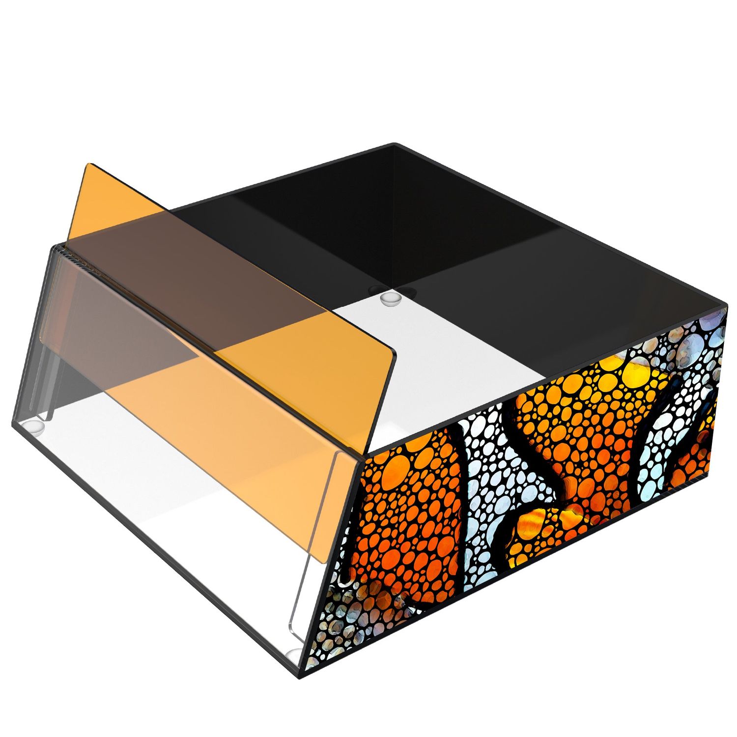 Flipper - Top Down Viewer Clownfish