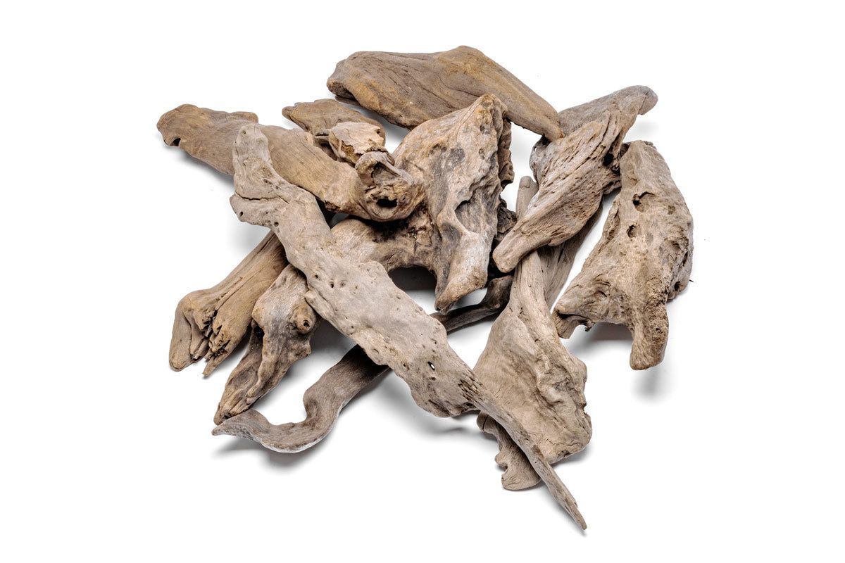 Assorted Accent Wood (Case)