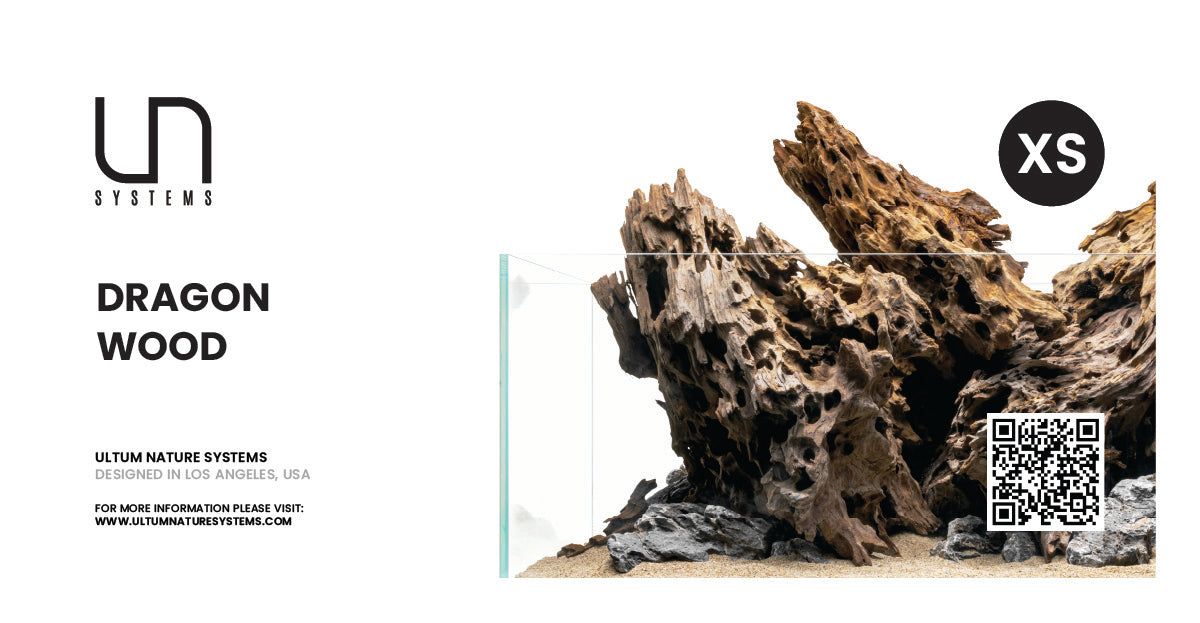 Dragon Wood Hang Tag  (Case - Retail Ready)