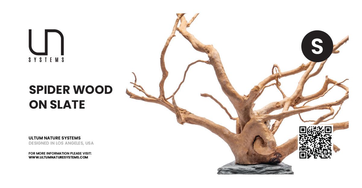 Spider Wood Slate Hang Tag (Case - Retail Ready)