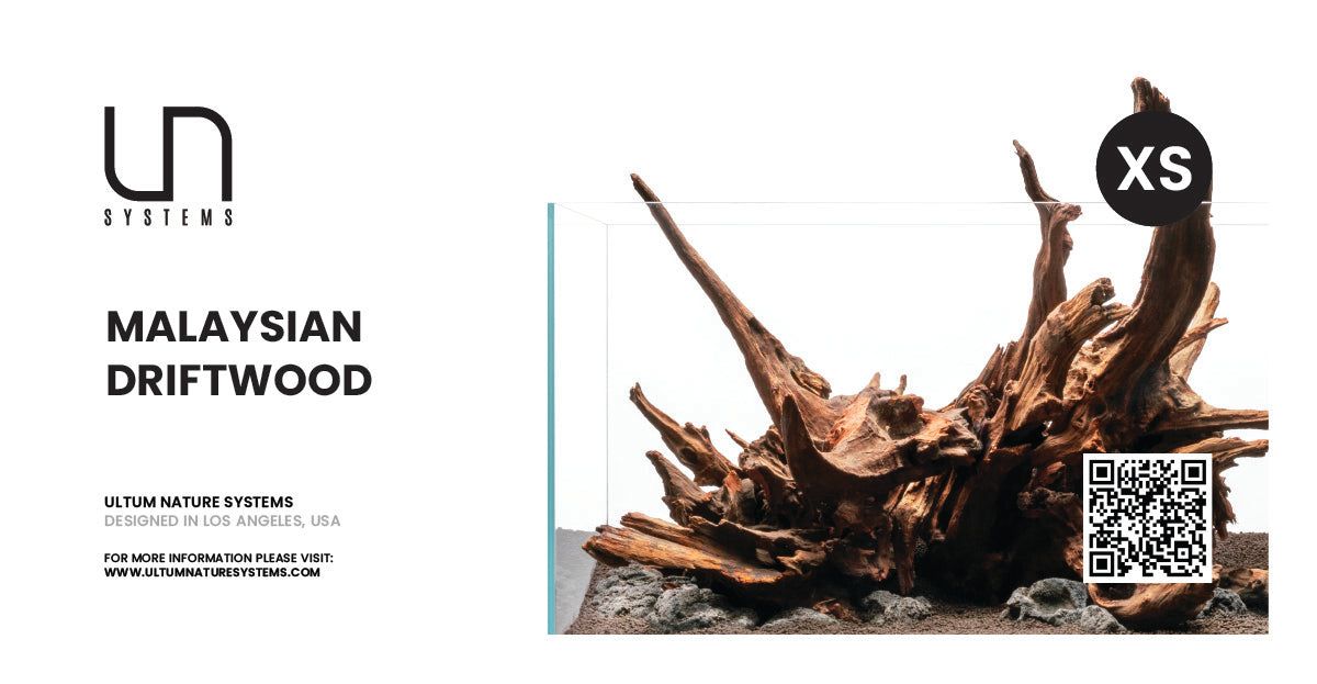 Malaysian Driftwood Hang Tag  (Case - Retail Ready)