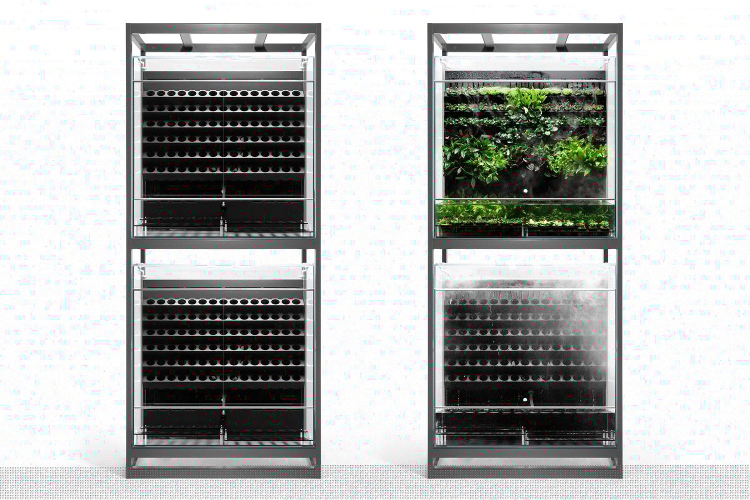 Flipper - Aquarium Mat - Clownfish