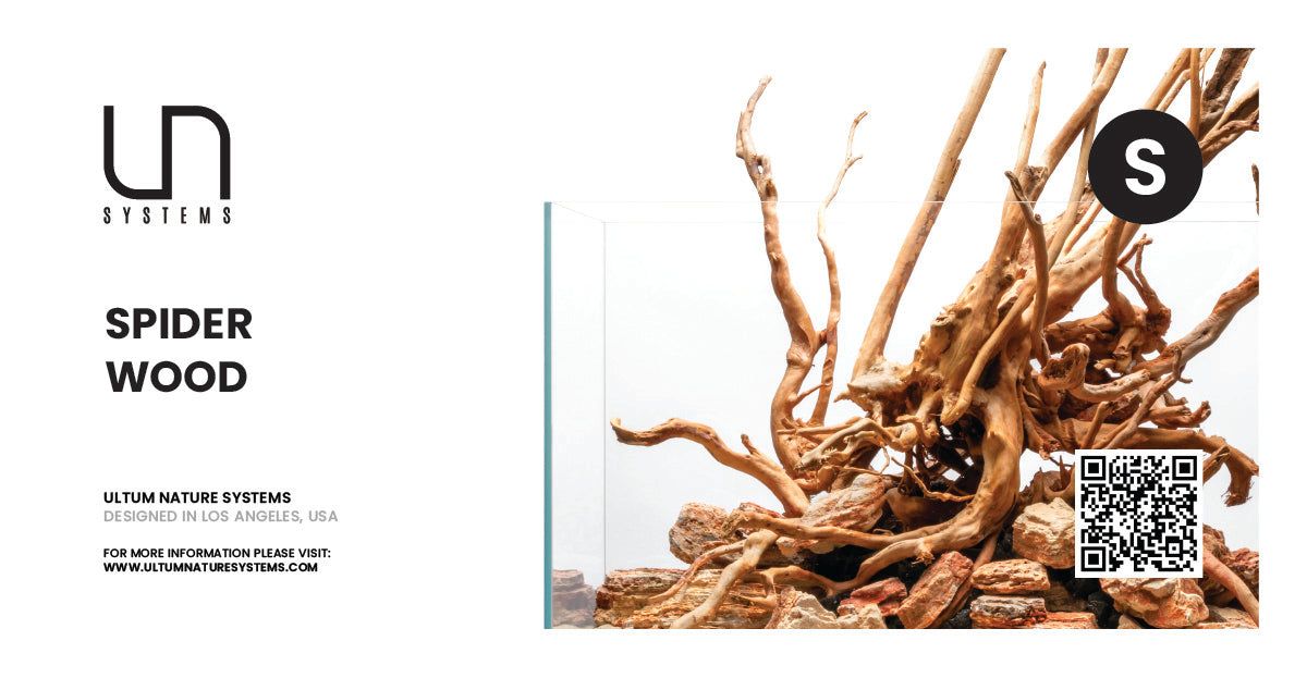 Spider Wood Hang Tag  (Case - Retail Ready)