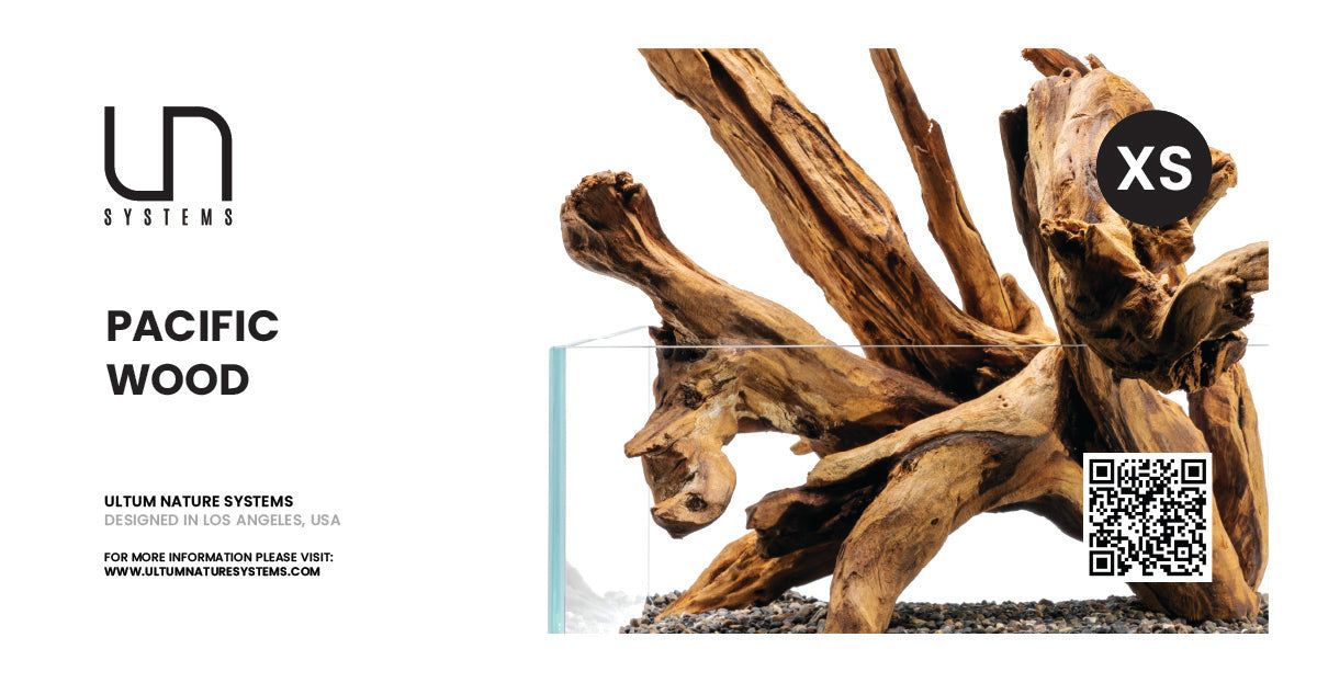 Pacific Wood Hang Tag  (Case - Retail Ready)