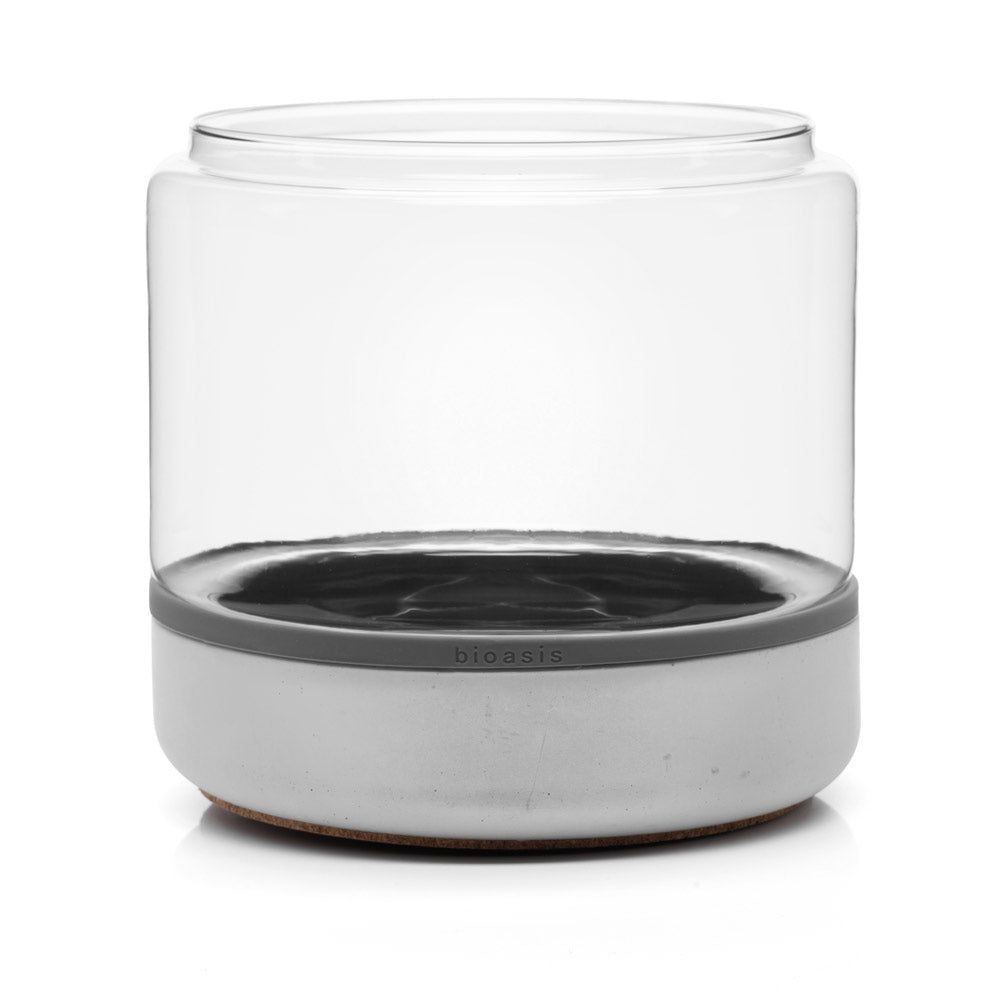 Natura Terrarium - Medium, Open Concrete