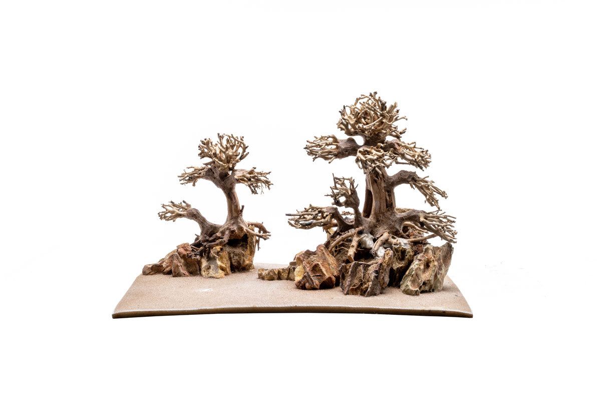 UNS Strata Pro Type 10