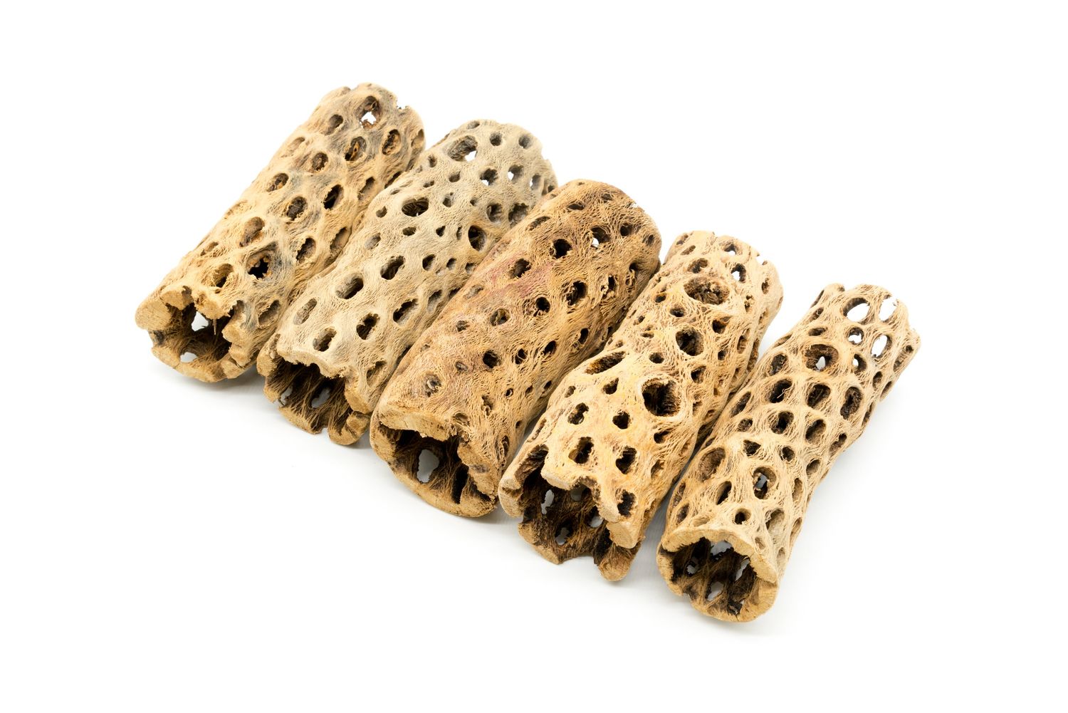 Cholla Driftwood Tunnel Tubes