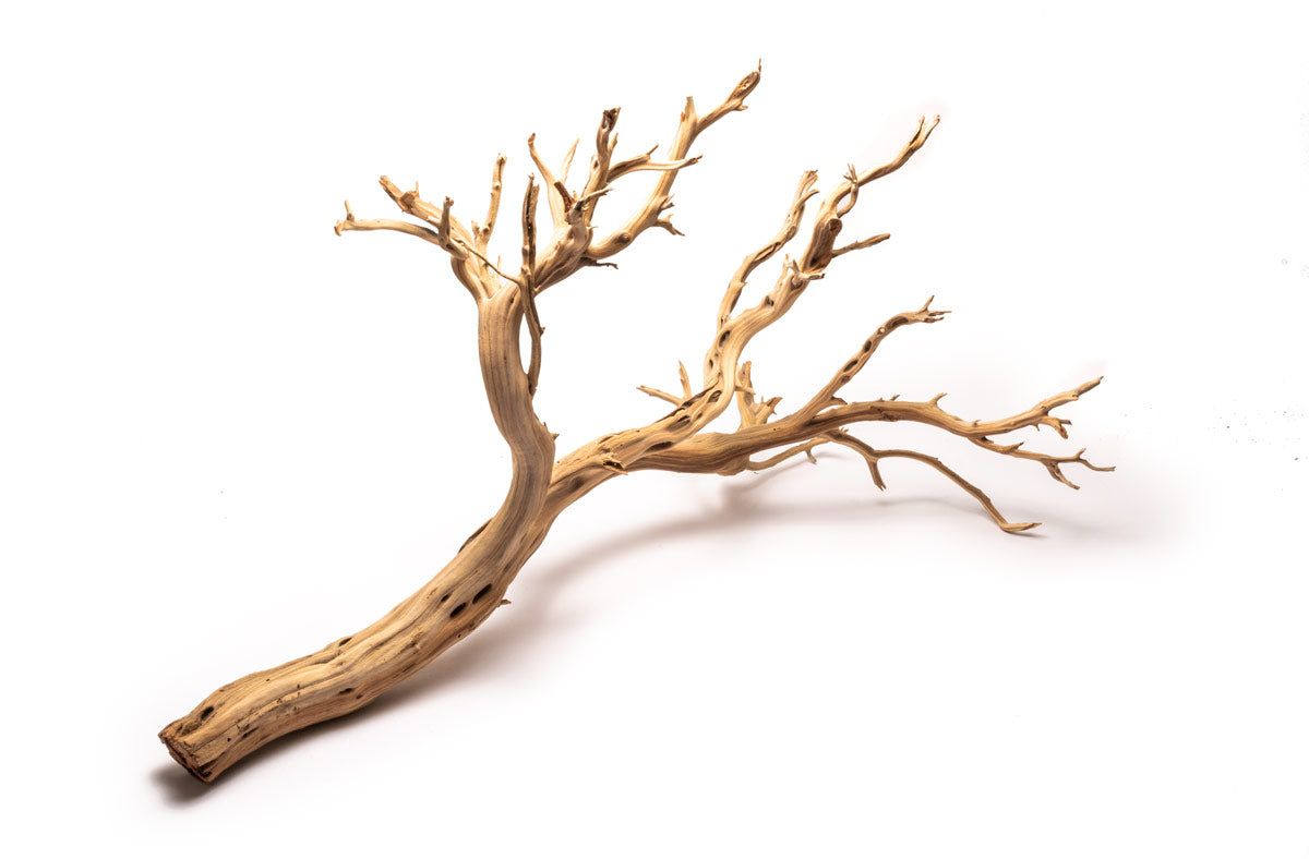 Ghost Wood - 2XL (48")