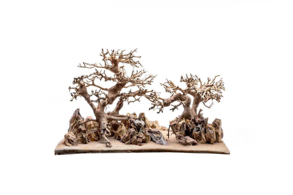 UNS Strata Pro Type 12