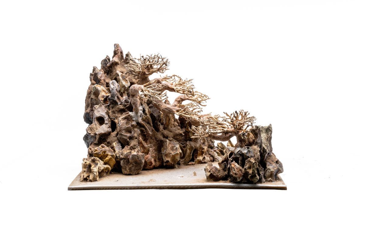 UNS Strata Pro Type 14