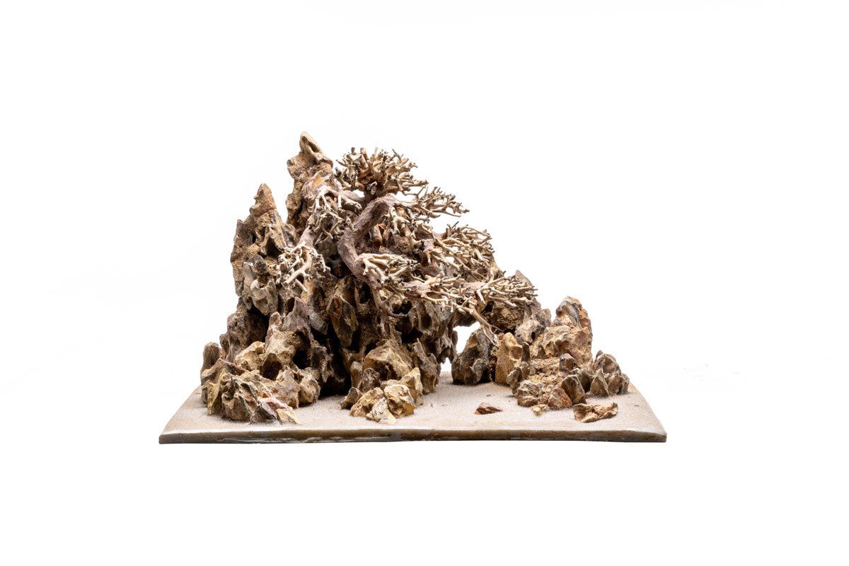 UNS Strata Pro Type 17