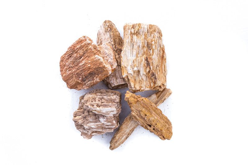 Burmese Petrified Wood - 45LB