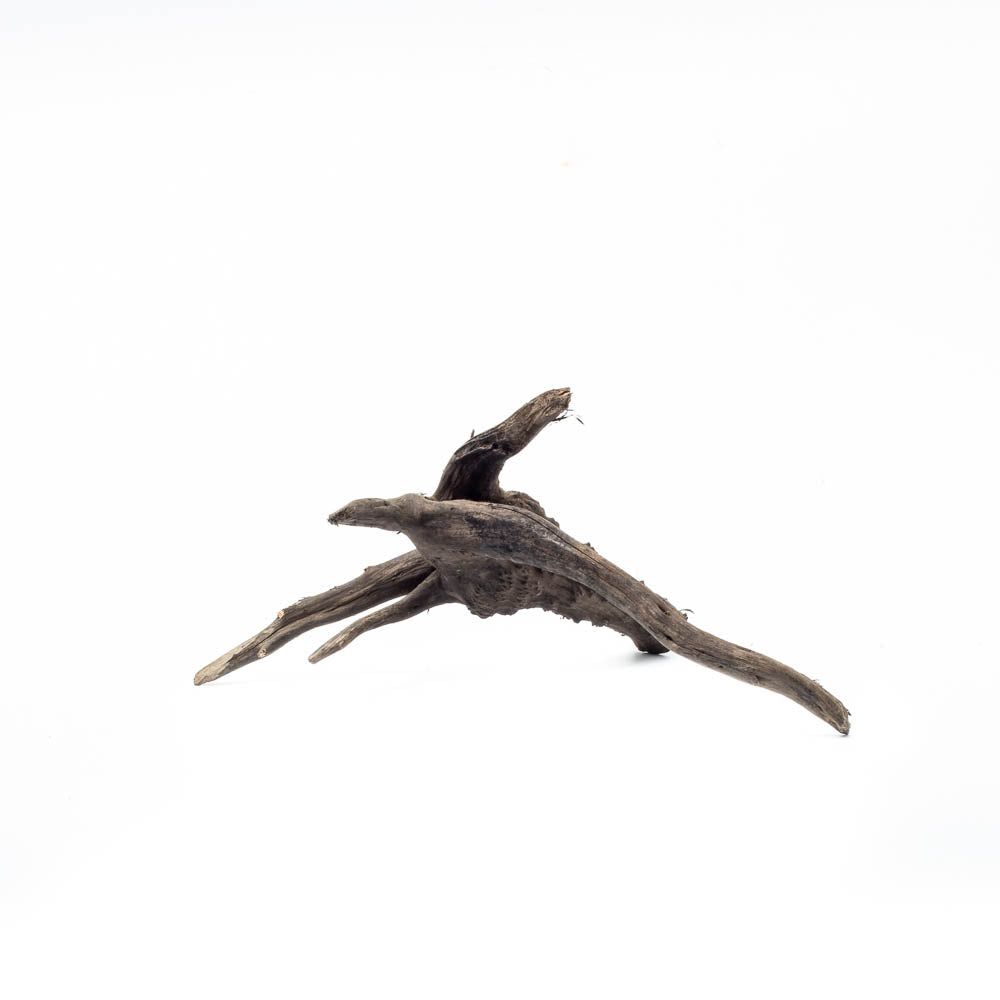 Black Forest Spiderwood (Bulk Pack by Weight) - 22.5LB