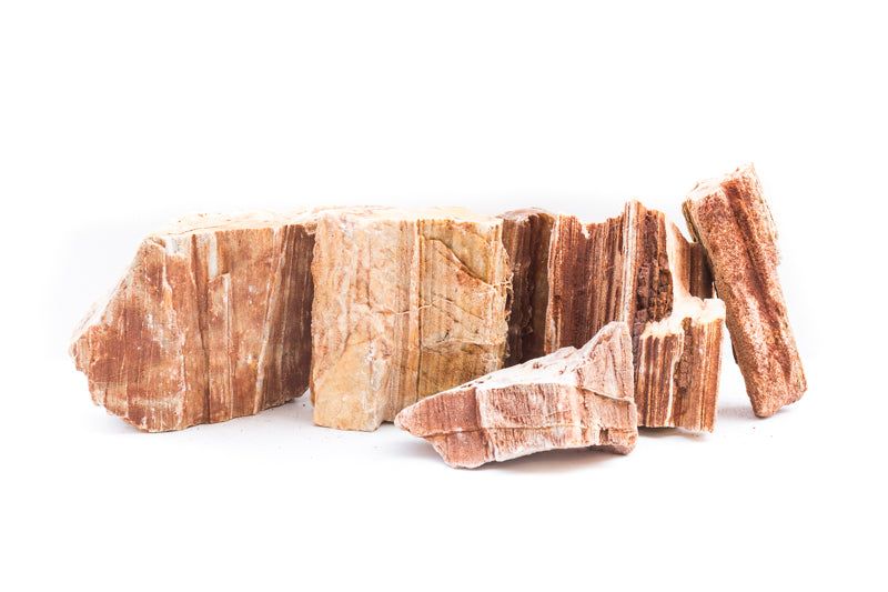 Red Petrified Wood - 45LB