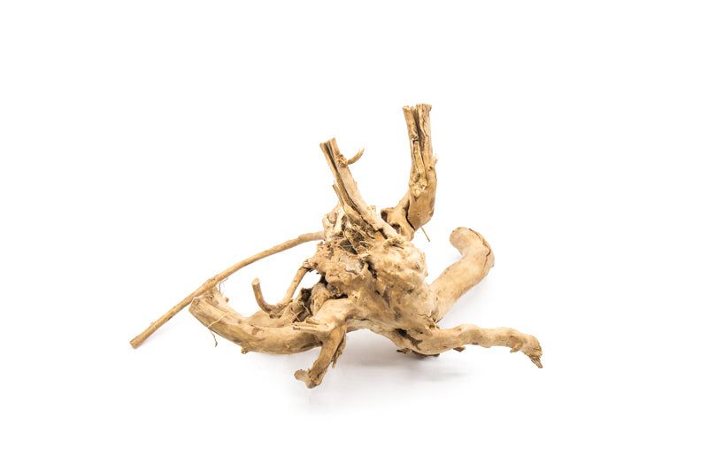 Spider Wood (Bulk Pack by Weight) - 22.5LB