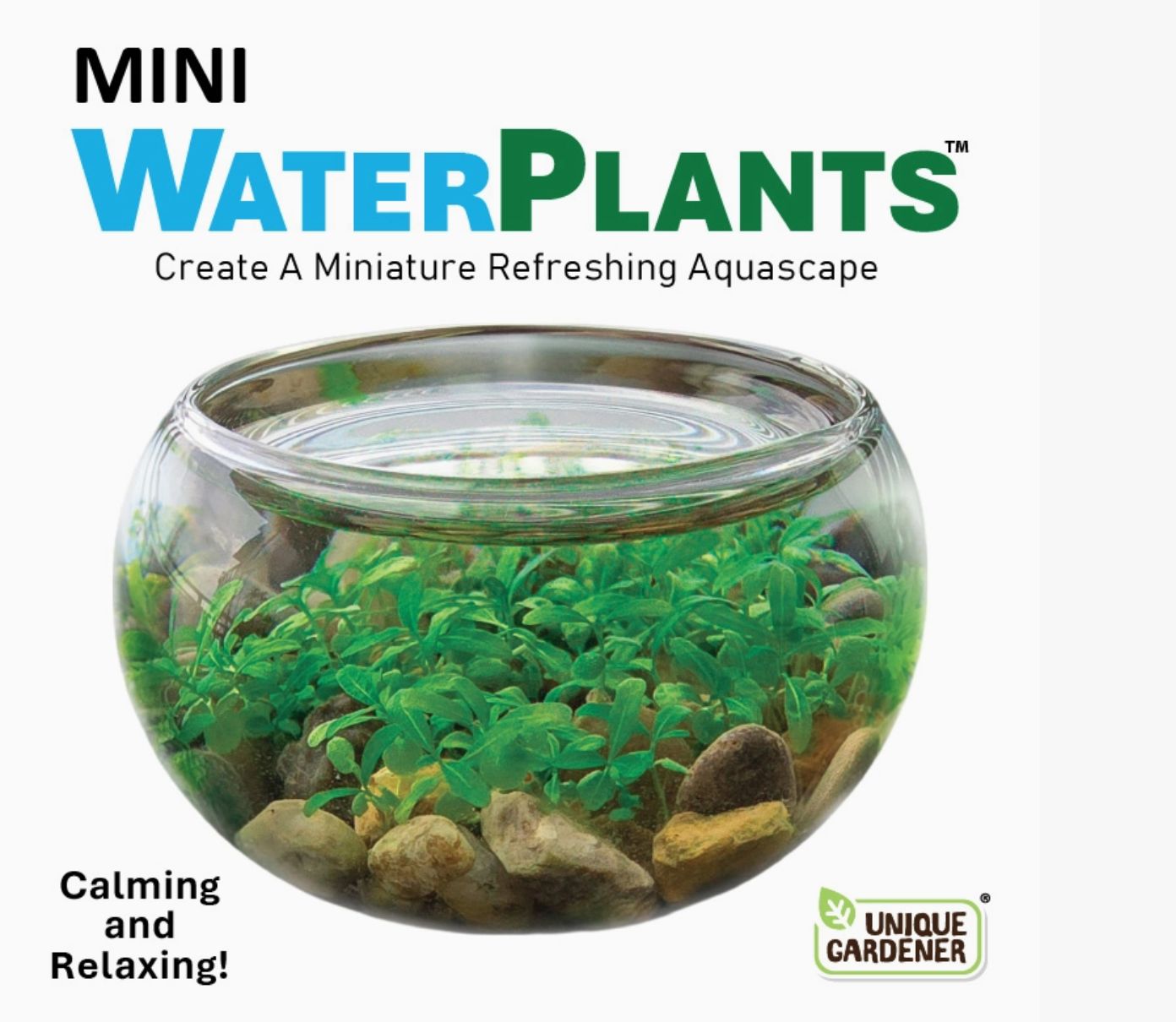 Mini Water Plants