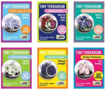 Mini Terrarium, Fantastic Flowers (Rose of Sharon)