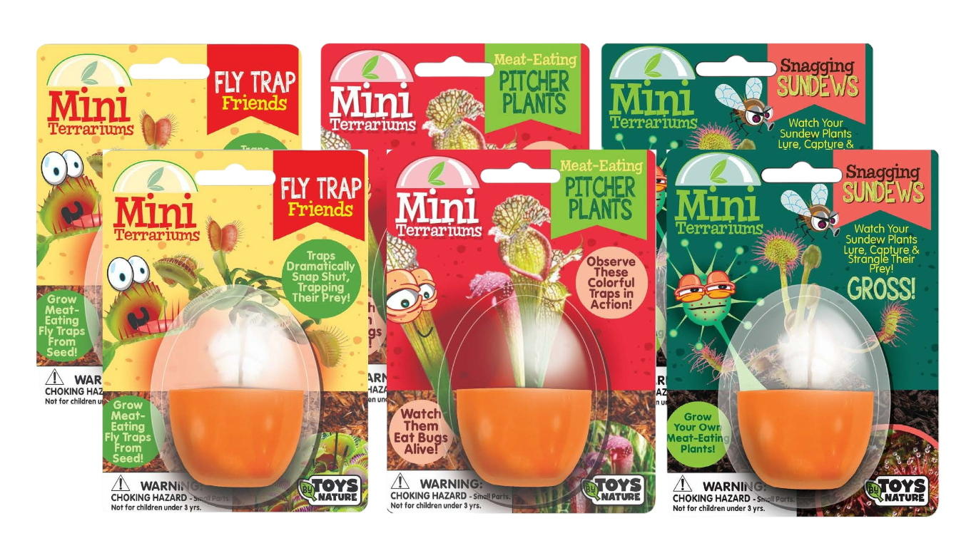 Mini Terrarium, Pitcher Plant