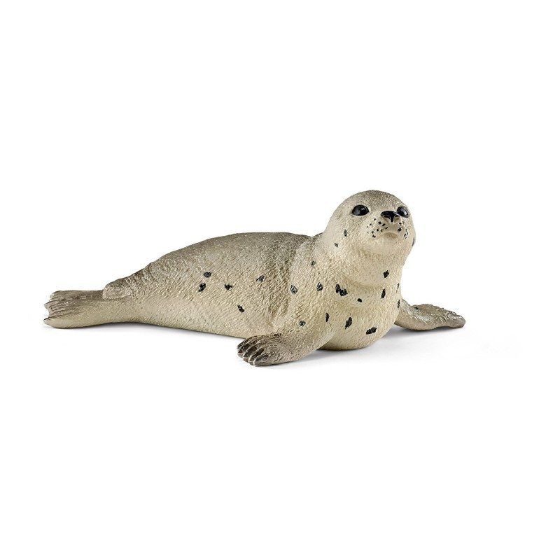 Seal