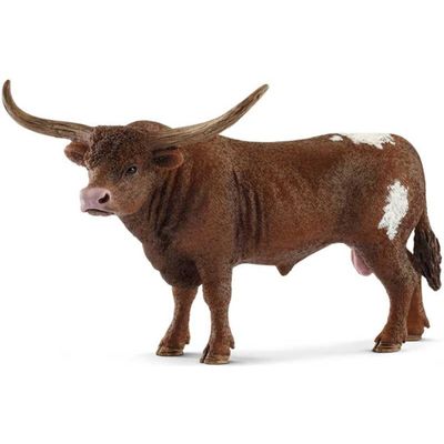 Texas Longhorn bull