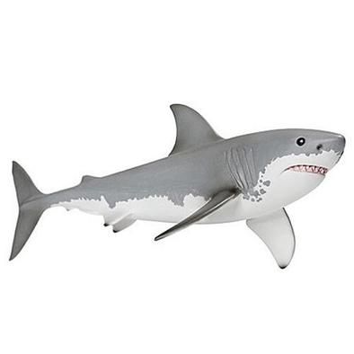 Great white shark